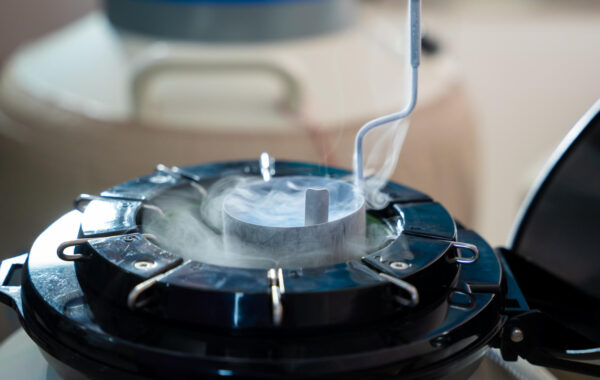 Fakty i mity o ciekłym azocie – co naprawdę warto wiedzieć?